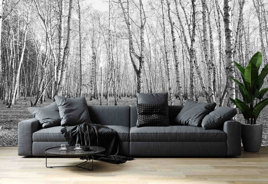 A modern living-dining room features wooden floors, teal chairs, a patterned rug, and the Birch Trees After Autumn Wall Mural. The dining area includes a dark table, six chairs, globe pendant lights, and an open view of the kitchen.