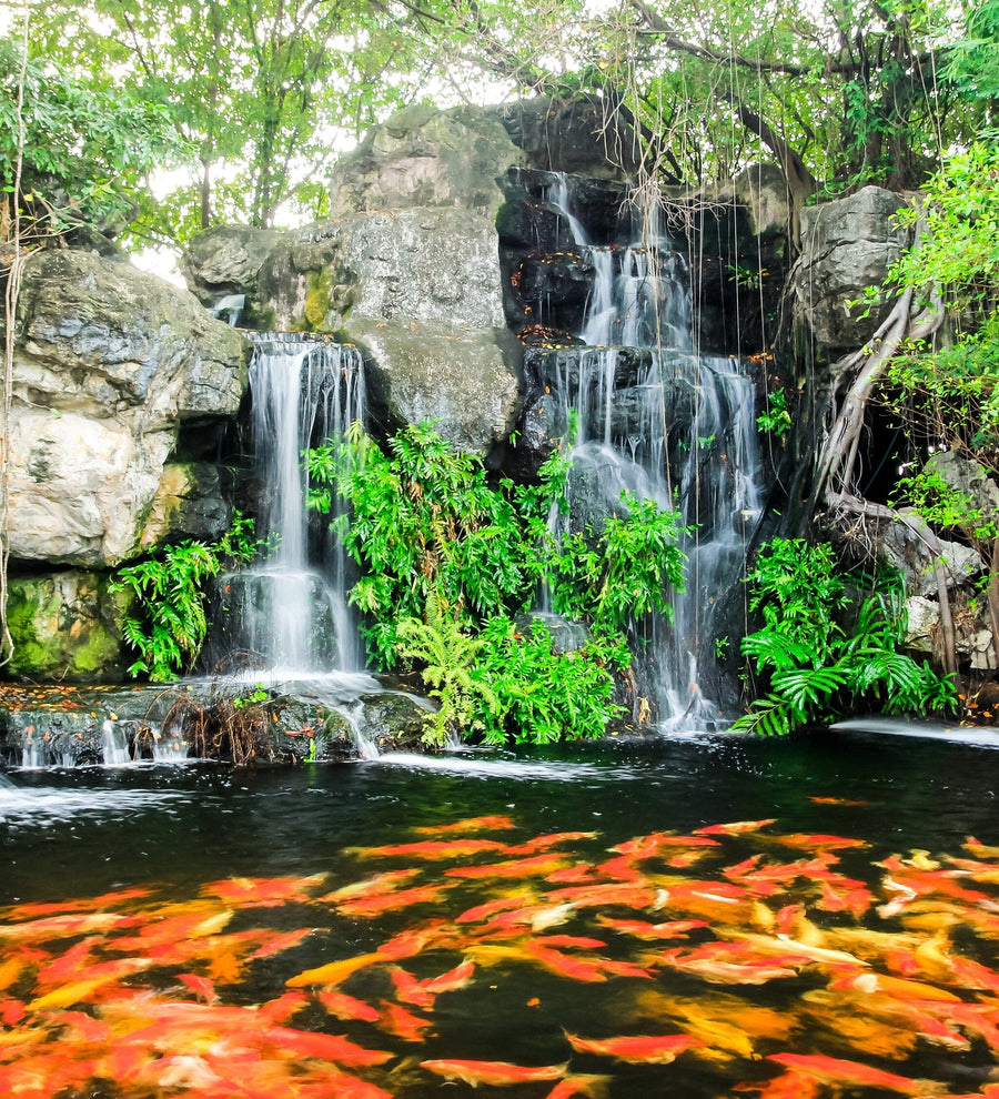 A modern bedroom with a low platform bed, bedside tables, and pendant lights. Behind the bed is the Beautiful Koi Fish Waterfall Wall Mural. Sliding glass doors open to a garden, and an open walk-in closet is visible on the right.