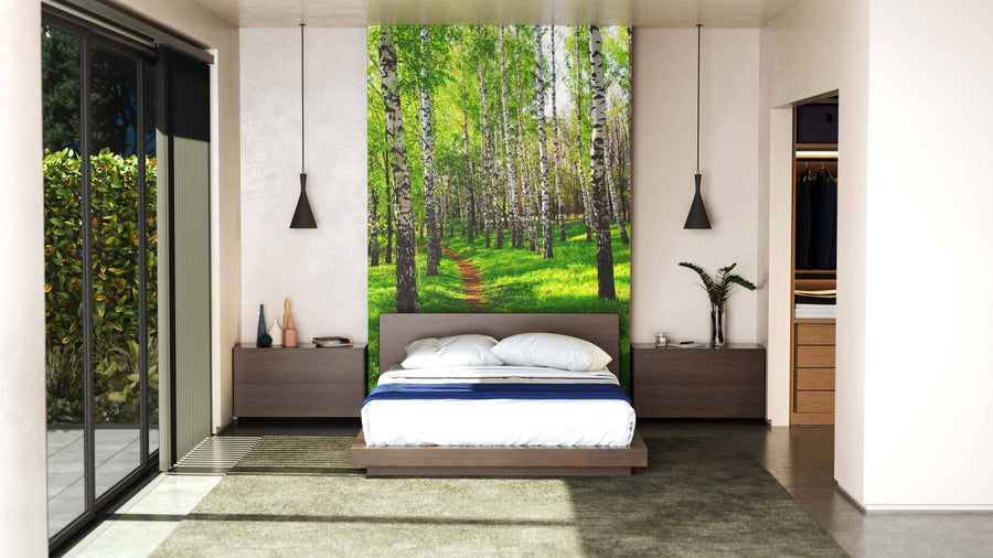 A modern living and dining area showcases the Birch Tree Footpath in Grove Wall Mural behind a wooden console with potted plants. Light green walls, wood furniture, and sheer-curtained windows complete the airy, nature-inspired décor.