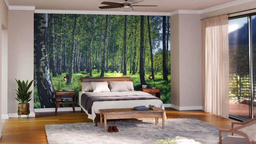 A modern living-dining area with wood floors, stylish furniture, and neutral walls features the Birch Tree Forest In The Sun Wall Mural, adding a nature-inspired focal point with its sunlit forest and path.