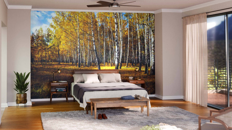 A modern living and dining room with wood floors, teal and wooden furniture, pendant lights, and a large Birch Tree Grove Wall Mural behind the dining area. The space feels open, inviting, and perfect for unique wall art.