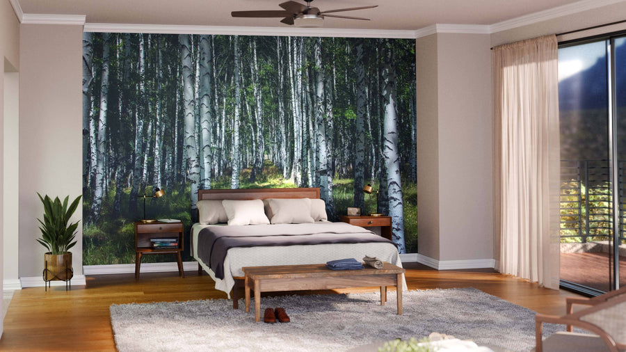 A modern living-dining room with wood floors, blue and wooden chairs, a large table, and the "Birch Tree In The Summer Forest Wall Mural" decorates one wall. Globe pendant lights hang above as sunlight streams through the window.