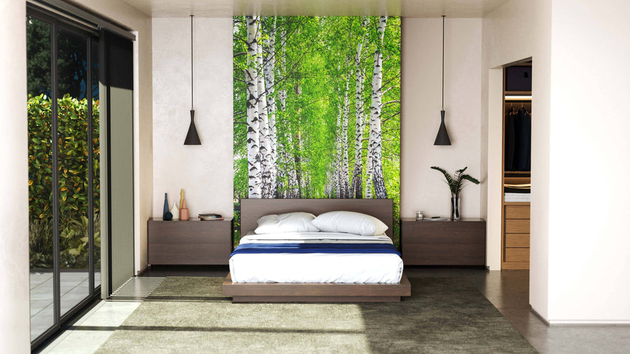 Modern bedroom with a platform bed, dark wood furniture, and pendant lights. The accent wall features the Birch Tree Park In Spring Wall Mural. Large sliding glass doors open to a garden, with an open walk-in closet on the right.