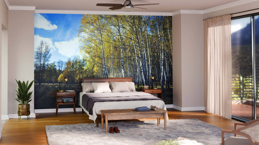 A modern living and dining area with wood floors, teal armchairs, a wooden table, pendant lights, and a sofa features the Birch Trees Blue Sky Fall Wall Mural on one wall, bringing a vibrant autumn scene to the warmly lit space.
