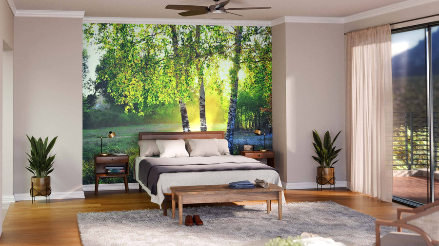 A modern living-dining area with wood floors, mid-century furniture, globe lights, and a large Birch Trees In A Summer Forest Wall Mural creates an open, inviting space where sunlight blends nature with contemporary style.
