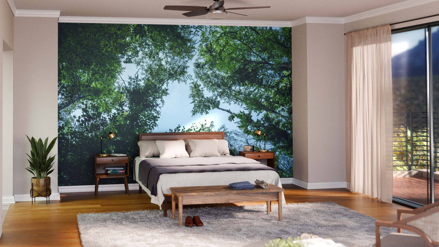 A modern open living-dining area with wood floors, mid-century furniture, and rugs features the Blue Sky Through Tree Branches Wall Mural. A six-seat dining table sits under globe lights, with the kitchen visible in the background.