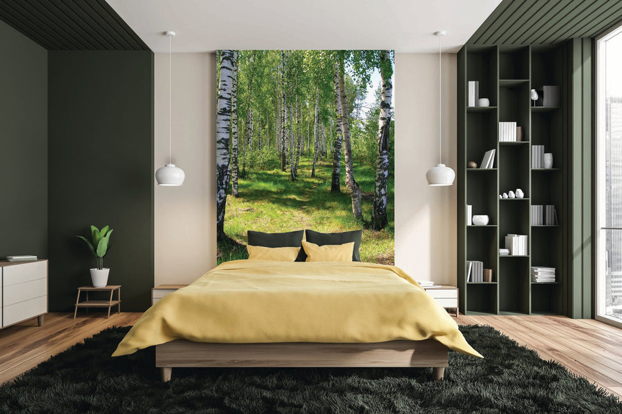 A living room showcases the Birch Tree Forest Path Wall Mural, depicting birch trees and green grass. A wooden console with plants and decor is in front, with a dining table to the left and a dresser with mirror and lamp to the right.
