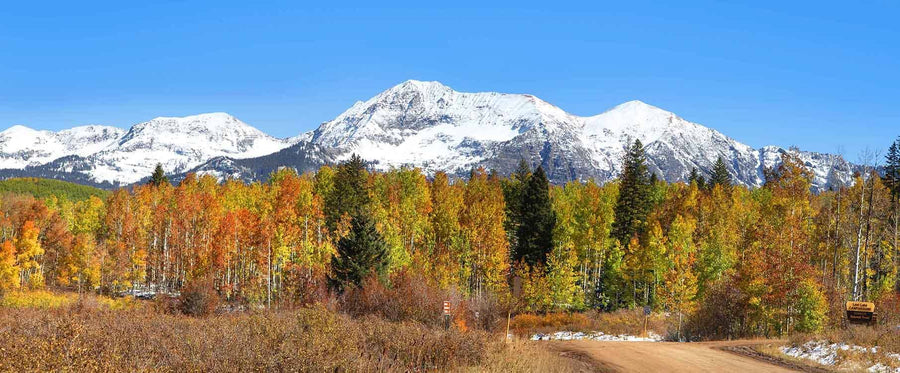 Colorado Mountains in Autumn Panorama Wall Mural Wallpaper Mural