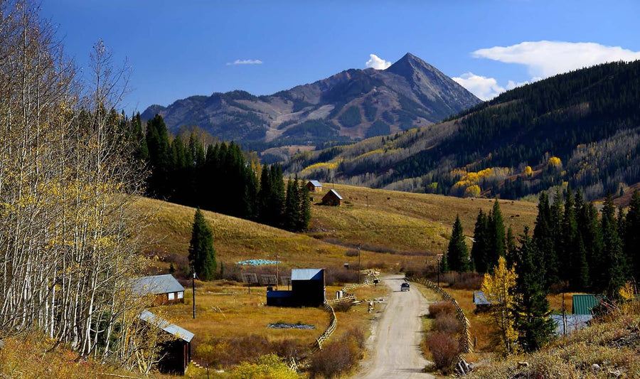 A modern living-dining room with wooden floors, green armchairs, and a dining table features the Crested Butte Mountain Wall Mural, creating an open, nature-inspired atmosphere perfect for relaxing or entertaining.