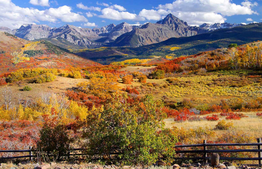 A modern living-dining room with wood flooring, stylish furniture, pendant lights, and a large Dallas Divide Rolling Hills Wall Mural of colorful autumn mountains. Teal armchairs, a tan sofa, and a wooden dining table complete the inviting space.