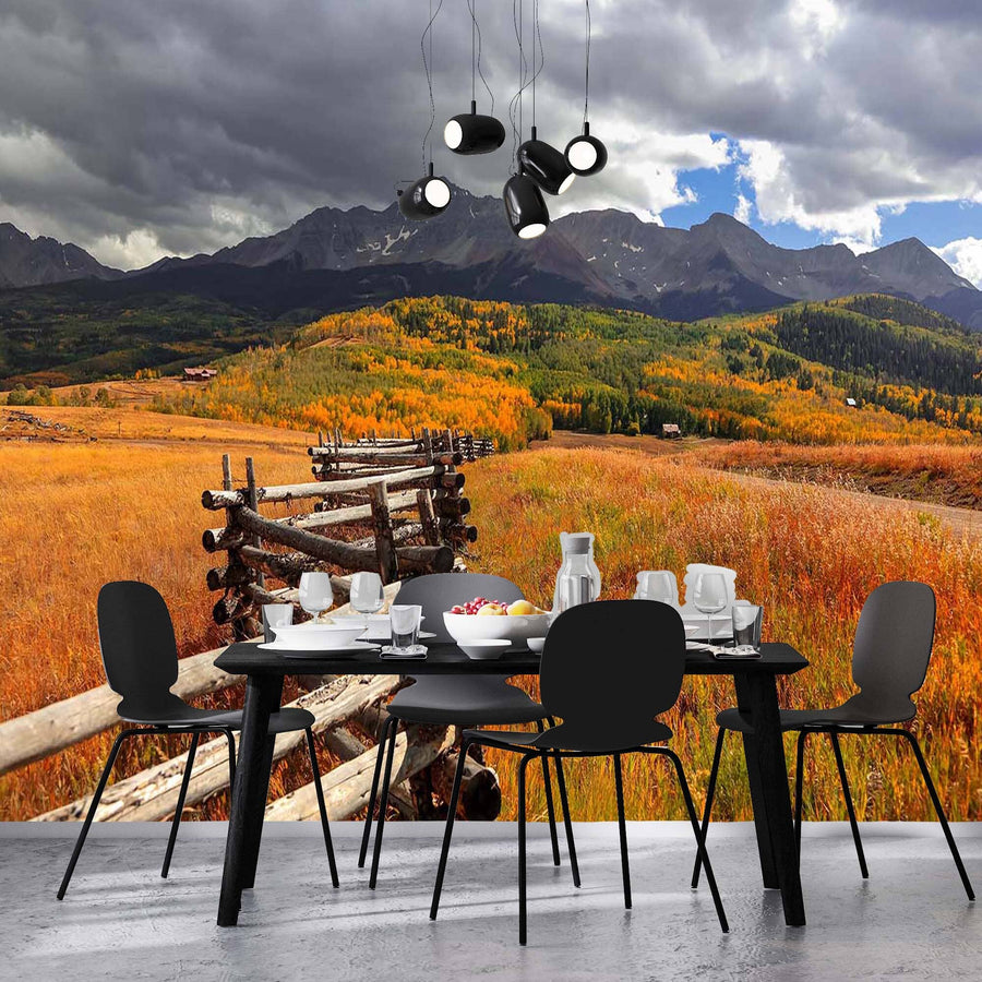 Doloras Peak San Juan Mountain Colorado Wall Mural Wallpaper Mural