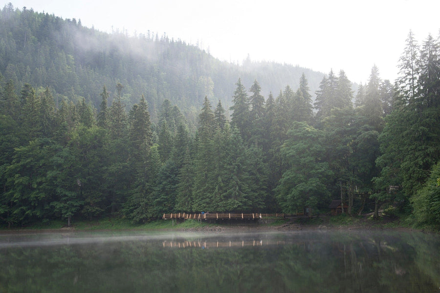 A modern bedroom features a large Morning on the Mountain Lake Wall Mural, a wooden bed with white and gray bedding, two nightstands with lamps, a plant, a bench, a gray rug, and sliding glass doors with beige curtains letting in natural light.