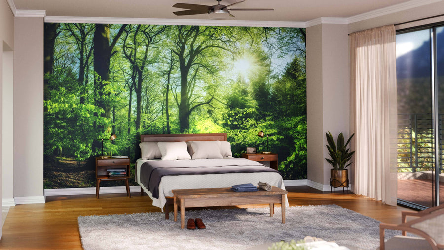 A modern living-dining room with wood floors, blue chairs, a gray sofa, and the Forest in Pleasing Sunlight Wall Mural. Pendant lights hang over a dark dining table for six, while natural accents add to the inviting, cozy atmosphere.