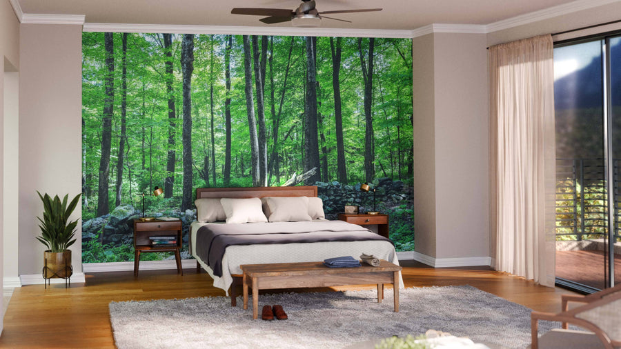 Modern open-plan living and dining area with wooden floors, mid-century furniture, and the Forest of the Quabbin Reservoir Wall Mural as a lush green, nature-inspired focal point. The kitchen can be seen in the background.