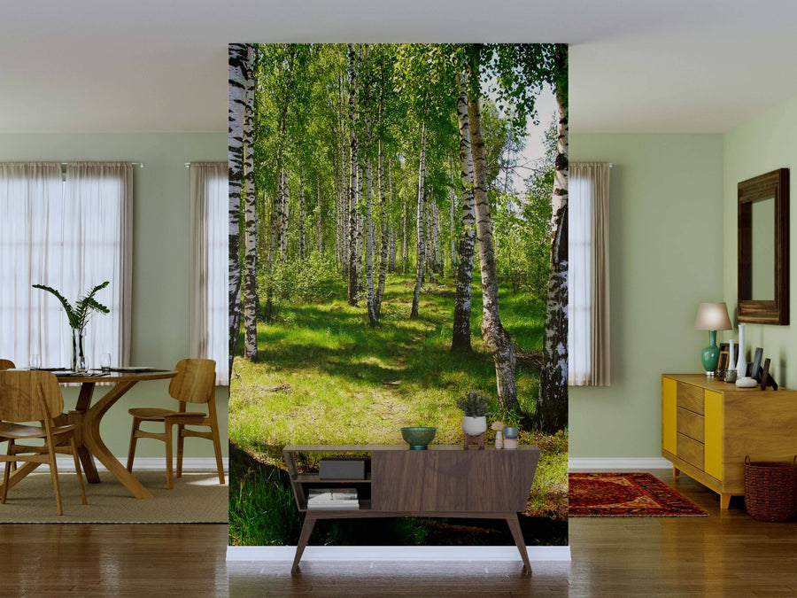 A modern living and dining area showcases the Birch Tree Footpath in Grove Wall Mural behind a wooden console with potted plants. Light green walls, wood furniture, and sheer-curtained windows complete the airy, nature-inspired décor.