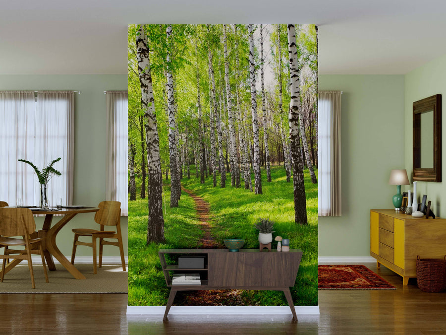 A living room showcases the Birch Tree Forest Path Wall Mural, depicting birch trees and green grass. A wooden console with plants and decor is in front, with a dining table to the left and a dresser with mirror and lamp to the right.