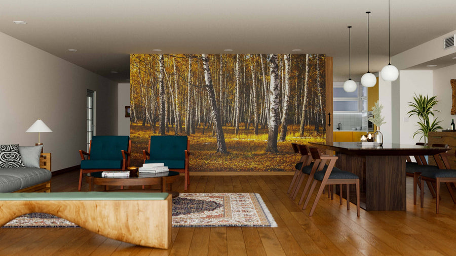 Modern living and dining room with wooden floors, teal chairs, a dark dining table, cozy rugs, and a large Birch Trees Panoramic Fall Colors Wall Mural. White globe pendant lights brighten the warm, inviting space.