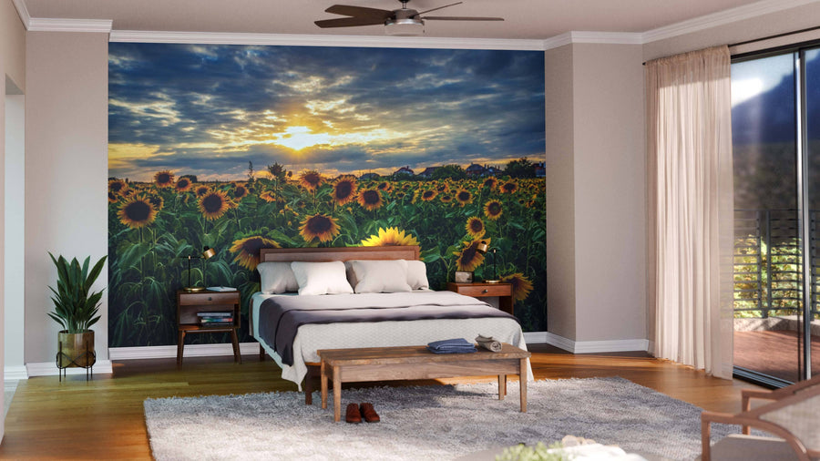 A modern living-dining area with wood floors features the Magnificent Sunset over Sunflower Field Wall Mural, teal chairs, a wooden bench, globe pendant lights, cozy decor, and contemporary style.