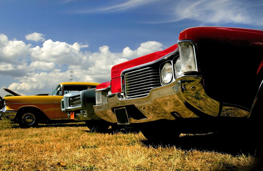 Awesome Muscle Cars Wall Mural Peel and stick Wall Mural Color Original Custom Size