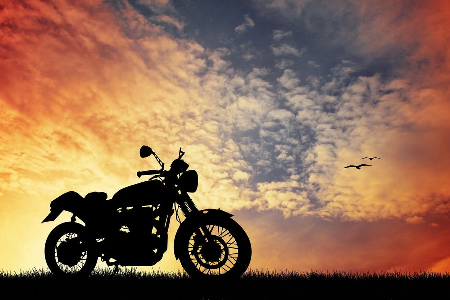 Motorcycle Wall Mural Wallpaper Mural photo Color Original Custom Size