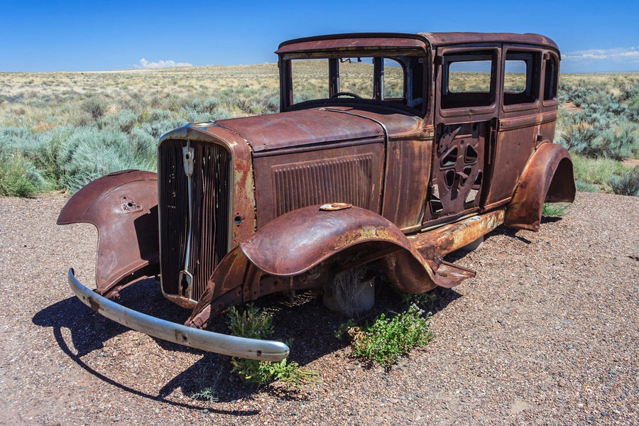 Rusted Carcass Wall Mural - Peel and Stick Wall Murals Peel and stick Wall Mural photo Color Original Custom Size