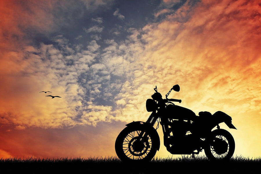 Motorcycle Wall Mural Wallpaper Mural photo Color Original Custom Size