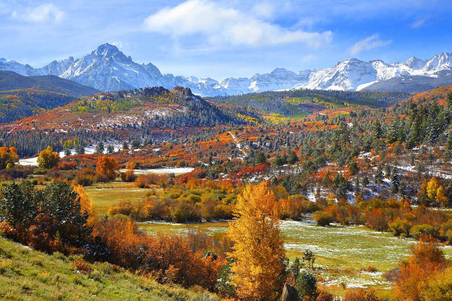 A modern open-concept living and dining room with wood floors, a rustic bench, green and brown furniture, round pendant lights above the table, and a large Mount Sneffels in The Fall Wall Mural of a colorful autumn landscape.