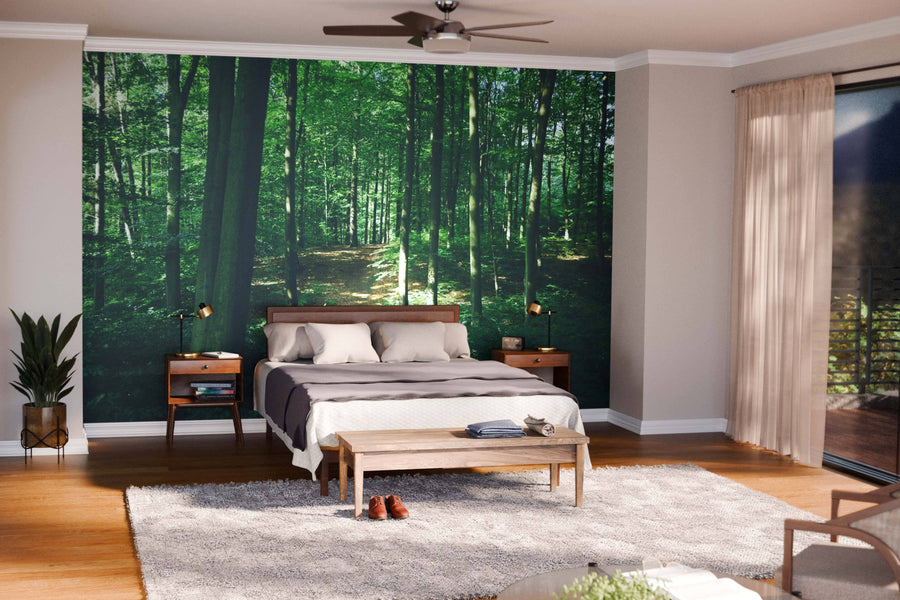 A modern bedroom features a bed with beige linens, wooden nightstands, a bench on a large rug, and the Path Through Michigan Forest Wall Mural behind the bed. Large windows with sheer curtains brighten the space with natural light.