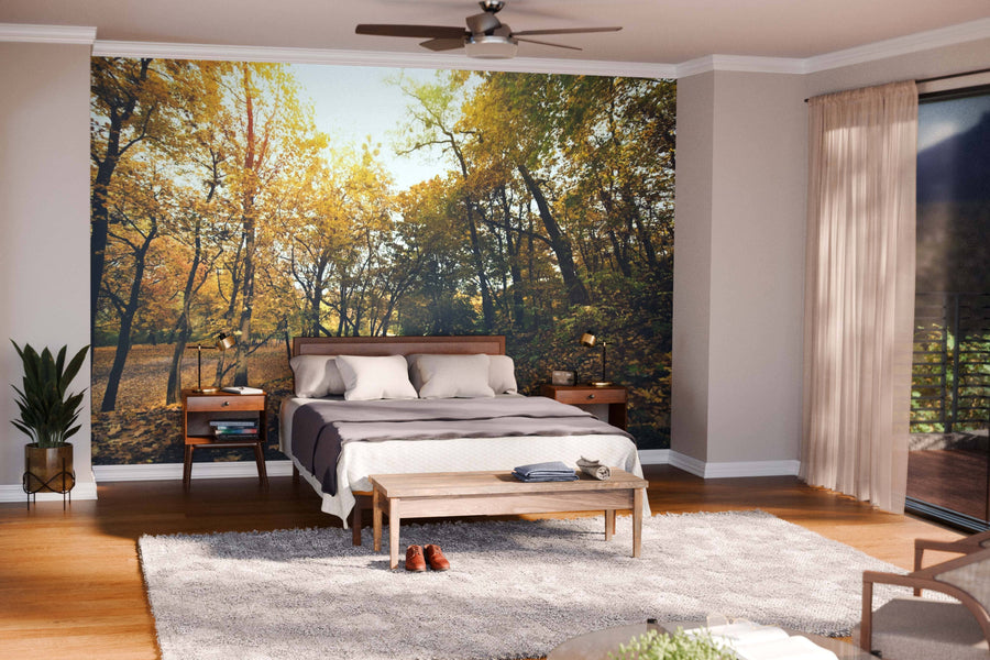A modern living-dining room with wooden floors, blue armchairs, a brown dining table, and the Pathway in Autumn Park Wall Mural. Pendant lights and layered decor add warmth to this cozy space.