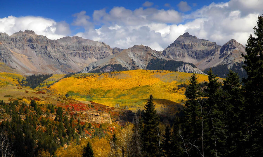 A modern bedroom features the San Juan Mountains Over Forest Wall Mural—a large, custom-printed peel and stick mural with grey mountains and green-yellow trees—behind the bed. Wood floors, mid-century furniture, plants, and sliding glass doors add to the serene vibe.