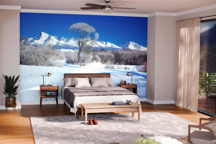 A modern living and dining area features wood floors, teal chairs, and a large Snow-Covered Trees and Frozen Lake Wall Mural. Pendant lights hang above the table, with the kitchen visible in the background.