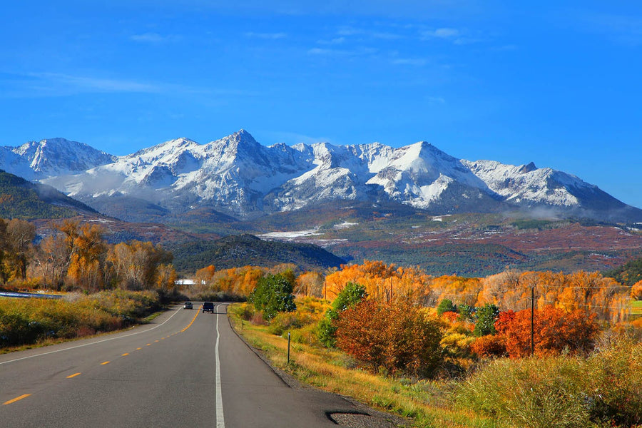 A bright bedroom features the Snow on Dallas Divide Mountains Wall Mural behind a bed with beige and brown bedding. Wooden nightstands, a bench, a light rug, potted plant, and sunlight from glass doors complete the cozy scene.