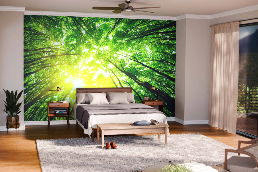 Modern open-plan living and dining room with wooden floors, mid-century furniture, and the Spring Forest Through the Treetops Wall Mural—a peel and stick mural of sunlit trees, creating a bright, nature-inspired focal point.