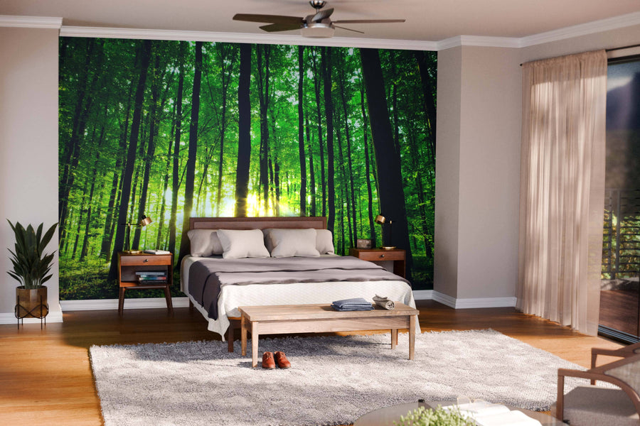 Modern living-dining room with wooden floors, mid-century furniture, and the Sunbeams and Beautiful Green Forest Wall Mural. Sunlight streams through the mural’s trees, creating a vibrant, nature-inspired ambiance in this stylish interior.