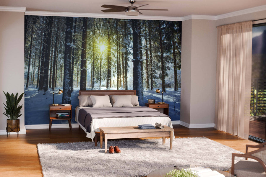 A modern living-dining room with wood floors, mid-century furniture, and a large Sunlight in the Winter Forest Wall Mural. The space includes a sofa, armchairs, dining table, pendant lights, rugs, and an open kitchen.