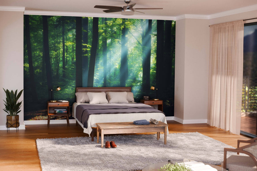 A modern living-dining room with wooden floors and cozy seating showcases the Sunrise in Green Forest Wall Mural, featuring sunrays through green trees. Rugs and pendant lights enhance the inviting space, perfect for removable wallpaper designs.