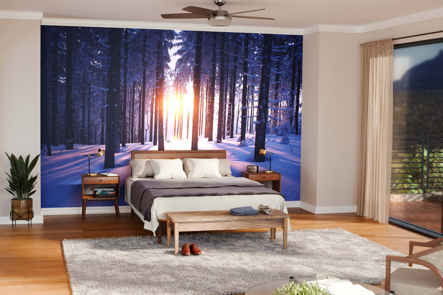 A modern living-dining room features wood floors, mid-century furniture, and the "Sunset in the Woods in Winter Wall Mural," bringing natural warmth and sunlight to the stylish interior with its snowy forest scene.