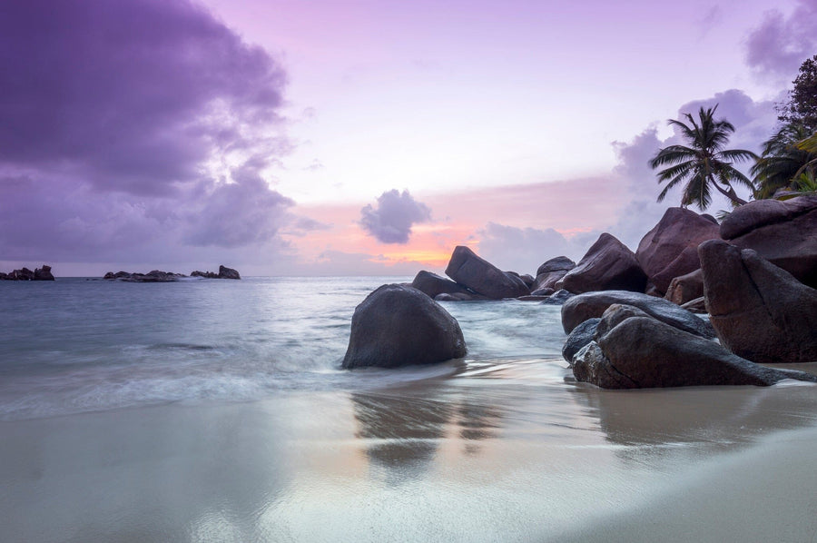A modern living-dining room with wooden floors, teal armchairs, a unique bench, and dining table is enhanced by the “Sunset on Seychelles Beach Wall Mural,” featuring a tranquil rocky beach and purple sunset skies with palm trees.