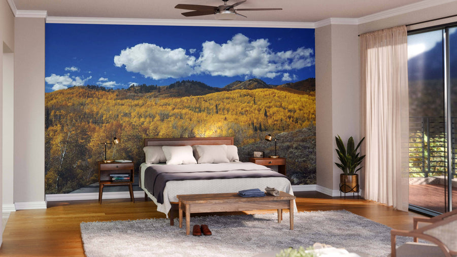 A modern living and dining area with wood floors, teal armchairs, and round pendant lights features the Wasatch Mountain State Park Wall Mural, showcasing golden autumn trees beneath a clear blue sky.