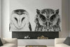 Animal Peel and Stick Wall Murals