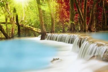 Nature Peel and Stick Wall Murals