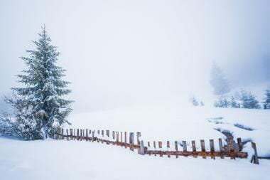 Winter Peel and Stick Wall Murals