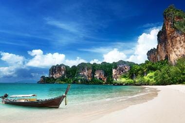 Tropical Peel and Stick Wall Murals