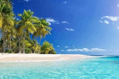 Beach Peel and Stick Wall Murals