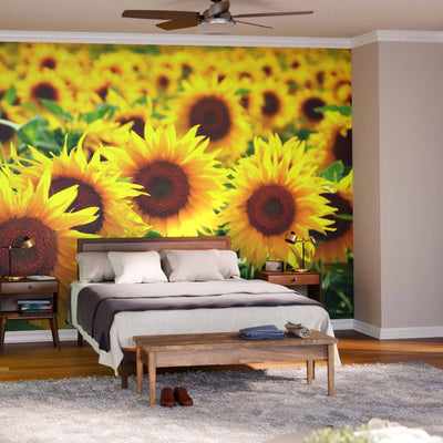 A bedroom features A Sunflower Field Wall Mural behind a bed with white and gray bedding. Wooden furniture, a soft gray rug, potted plants, large windows with sheer curtains, ceiling fan, and hardwood floors create a bright, cozy vibe.