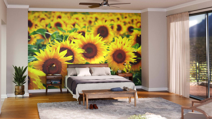 A bedroom features A Sunflower Field Wall Mural behind a bed with white and gray bedding. Wooden furniture, a soft gray rug, potted plants, large windows with sheer curtains, ceiling fan, and hardwood floors create a bright, cozy vibe.