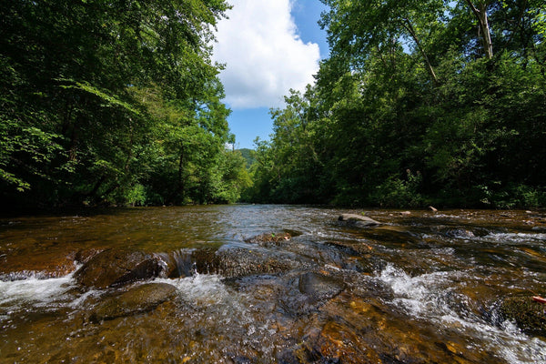 Abrams Creek Wall Mural Peel and stick Wall Mural Deposit Photo Color Original Custom Size