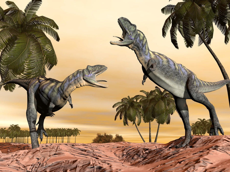 Acasaurus Fighting Peel and Stick Wall Mural Peel and stick Wall Mural Color Original Custom Size