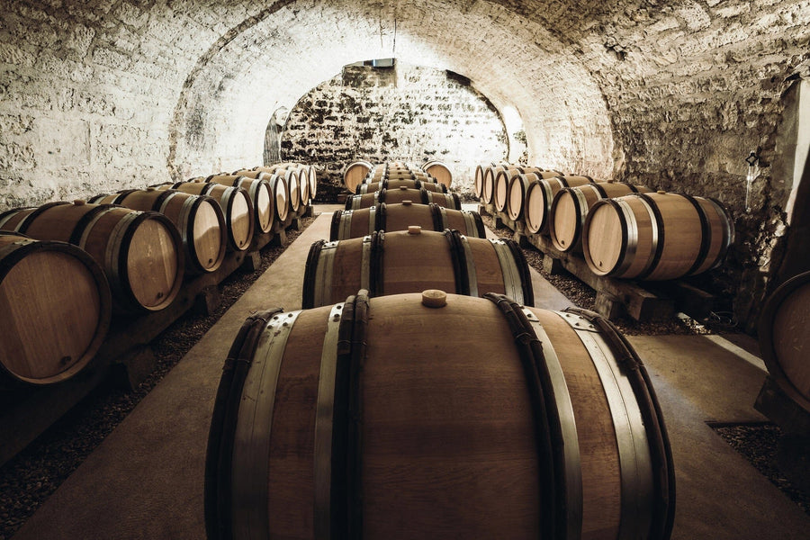 A modern café with dark wood tables and stools features the Aging Cellar Wall Mural—a striking wine cellar scene with wooden barrels—on its back wall. Sunlit windows, potted plants, and shelves of wine bottles complete the charming space.