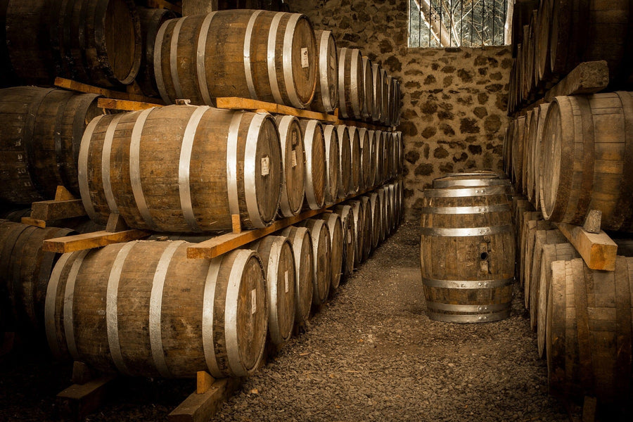 A modern cafe features wooden tables, chairs, potted plants, and hanging lights. One wall showcases the Aging Oak Barrels Wall Mural, depicting stacked barrels in a rustic cellar for a cozy feel. Large windows line the left side.
